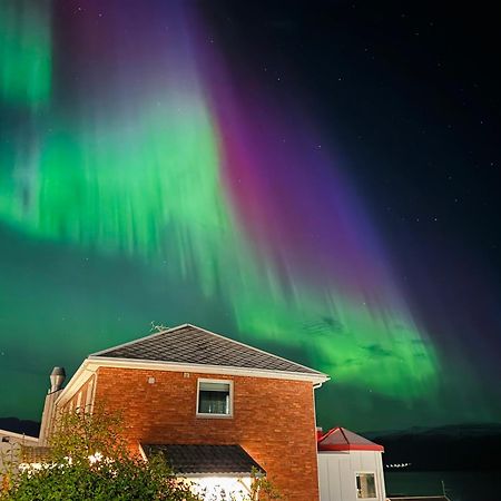 Altafjord Gjestegaard المظهر الخارجي الصورة